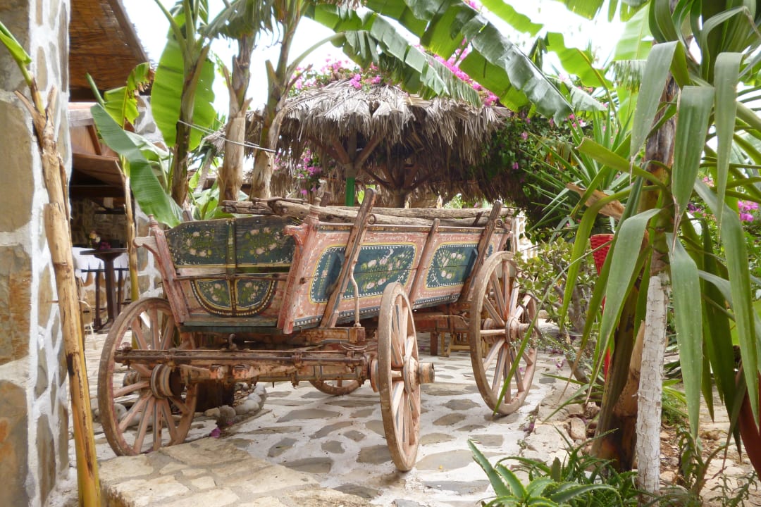 Teil des AußenrestaurantsTaverne Stone Village Petrino Horio