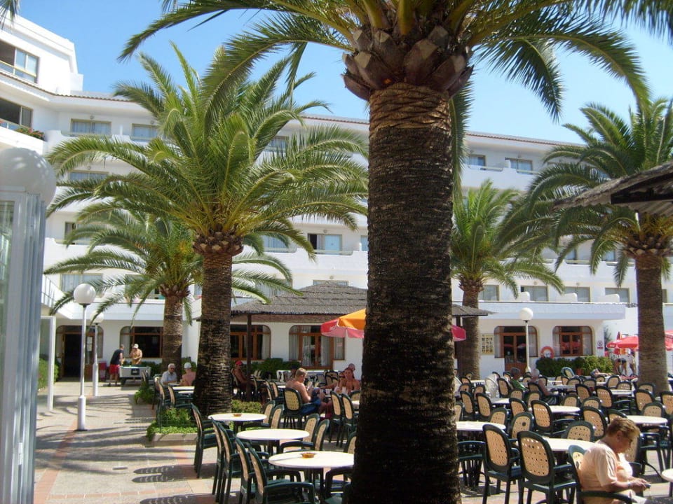 Sitzmöglichkeiten draußen Millor Sol