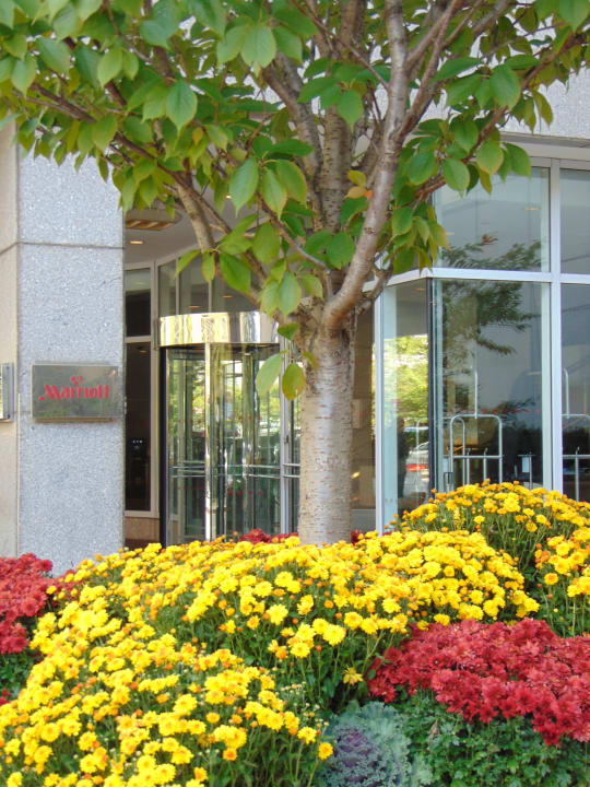 Lobby Hotel Marriott at the Brooklyn Bridge