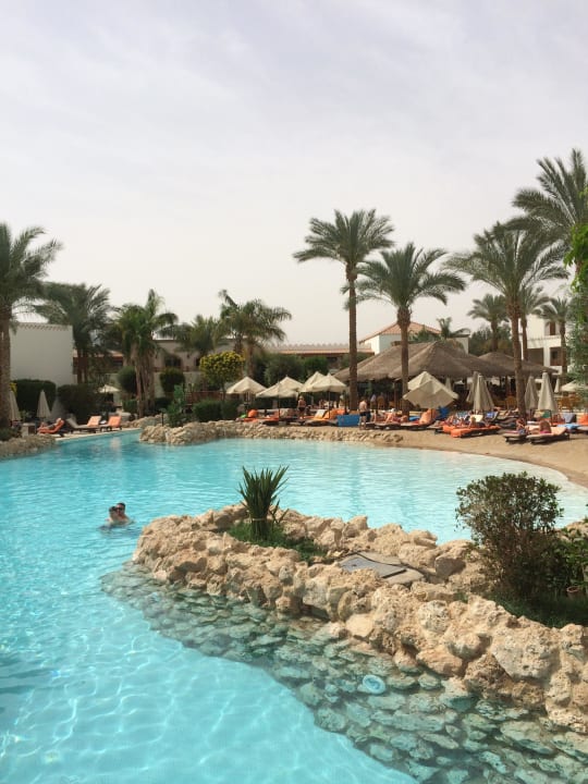 Pool Ghazala Gardens