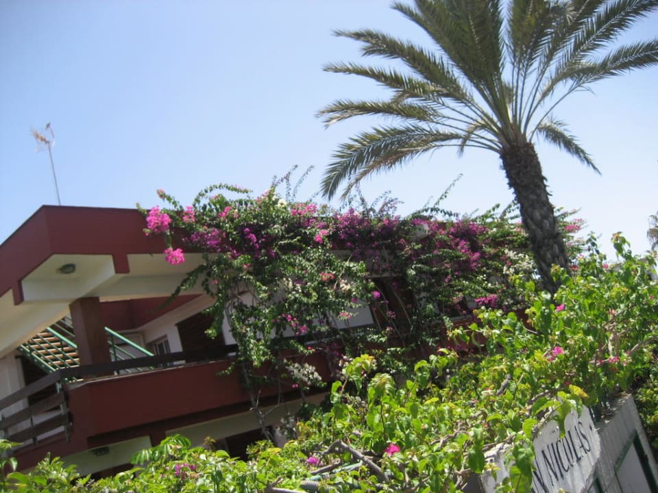 2.Etage Hotel San Nicolas