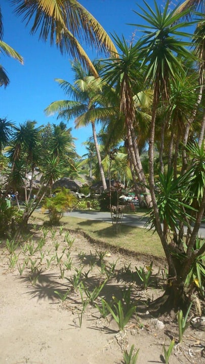 Spaziergang durch die Anlage Playabachata Hotel