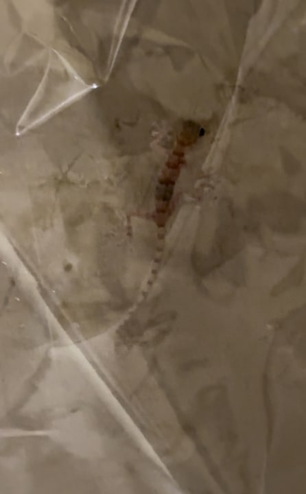 Zimmer Hilton Hurghada Plaza