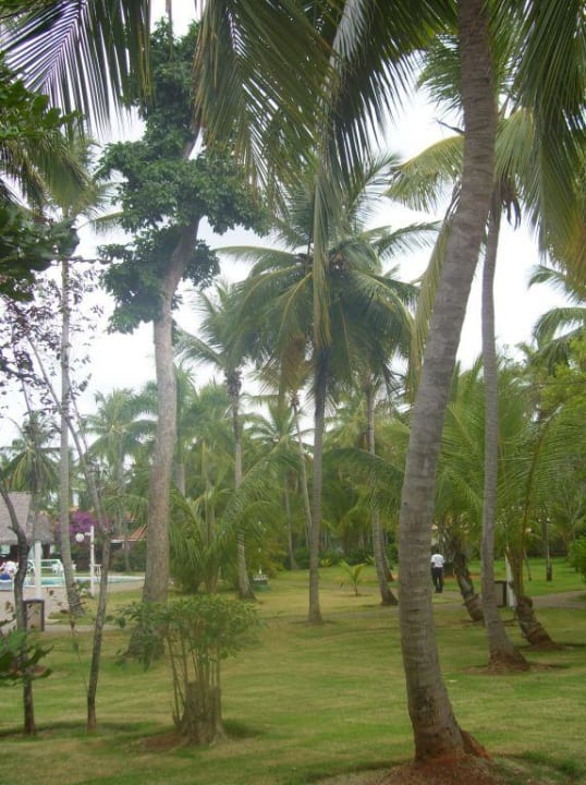 die anlage Wyndham Alltra Samana