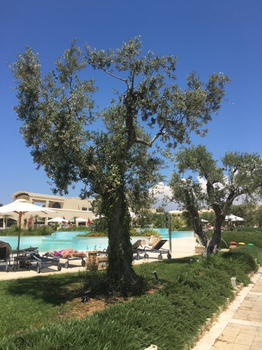 Gartenanlage Vivosa Apulia Resort