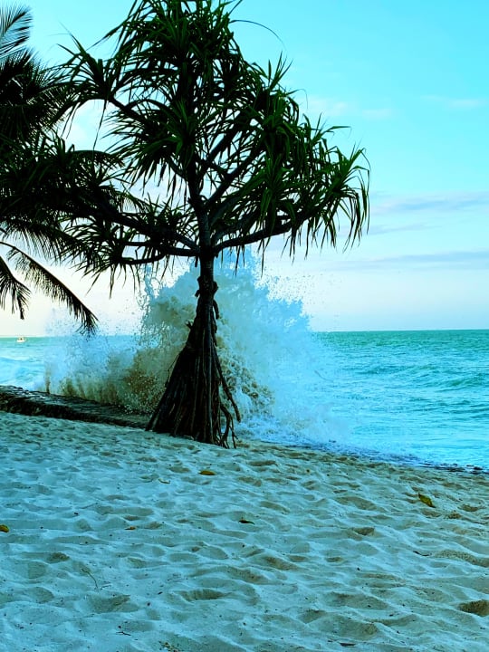 Strand Neptune Pwani Beach Resort & Spa