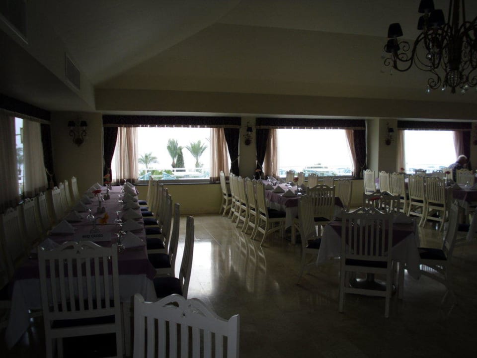 Sentido PALOMA Perissia