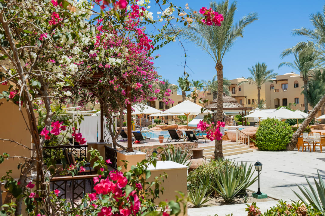 Pool Steigenberger Coraya Beach - Adults only