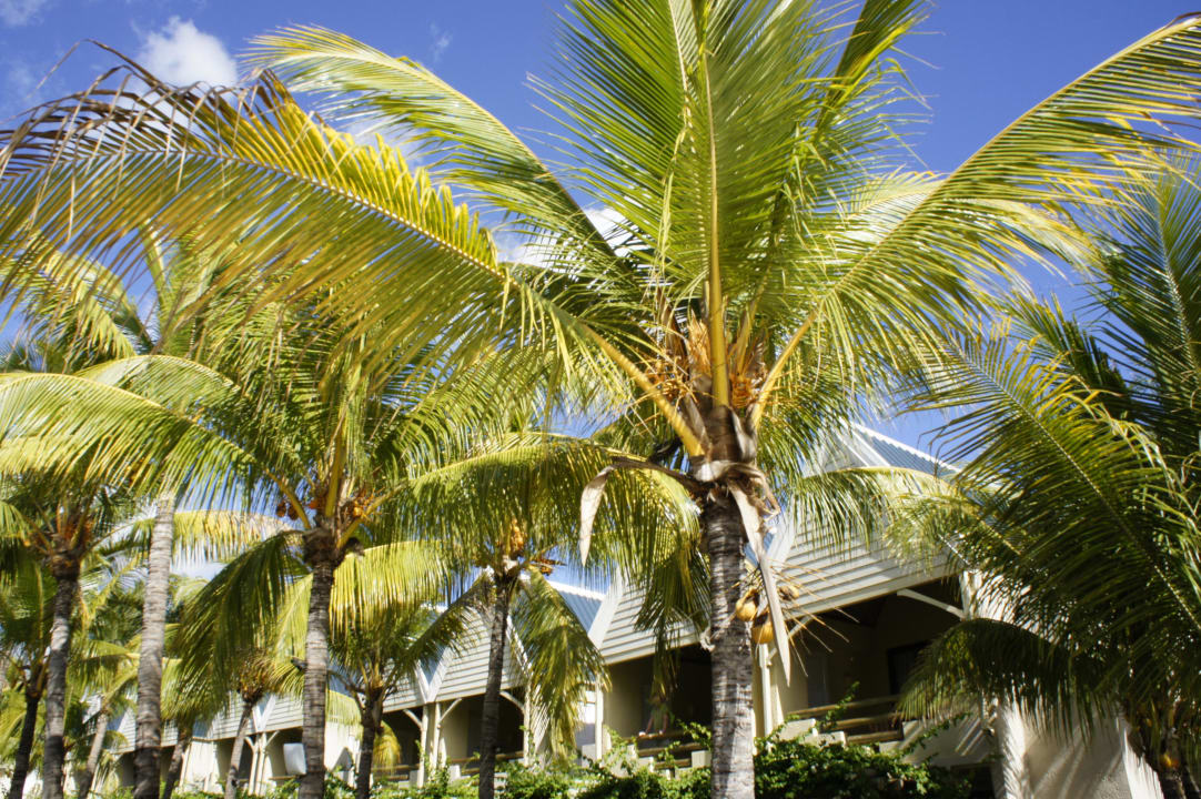 Garten  Anelia Resort & Spa