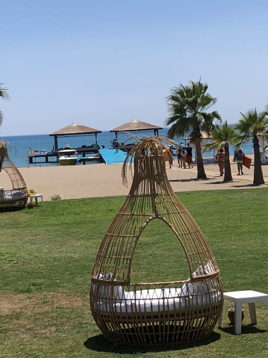 Strand ROBINSON NOBILIS