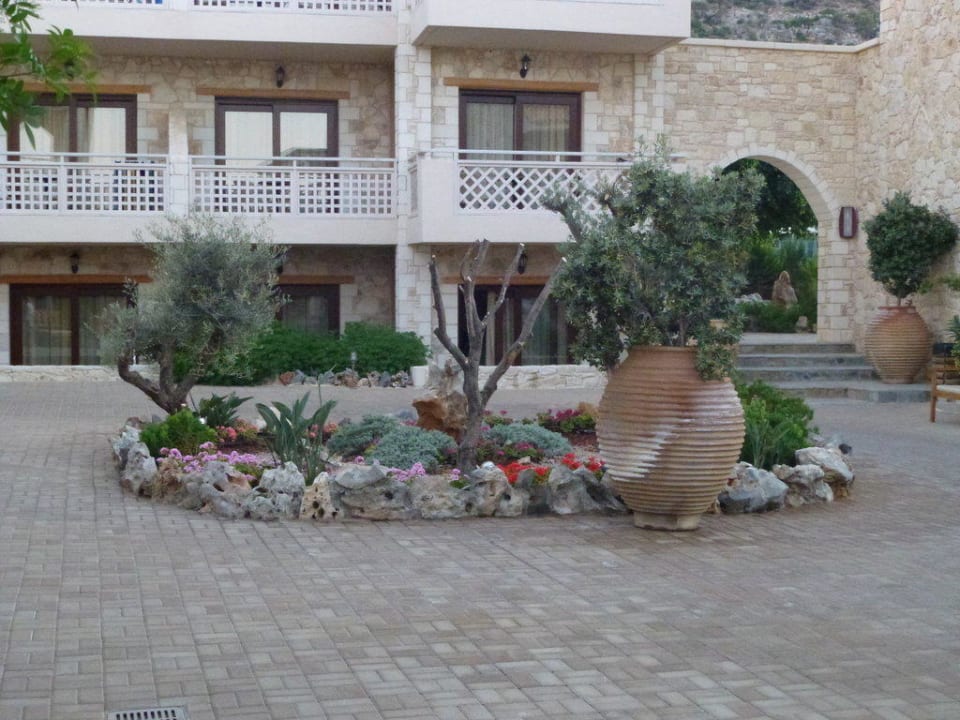 Innenhof Cactus Royal