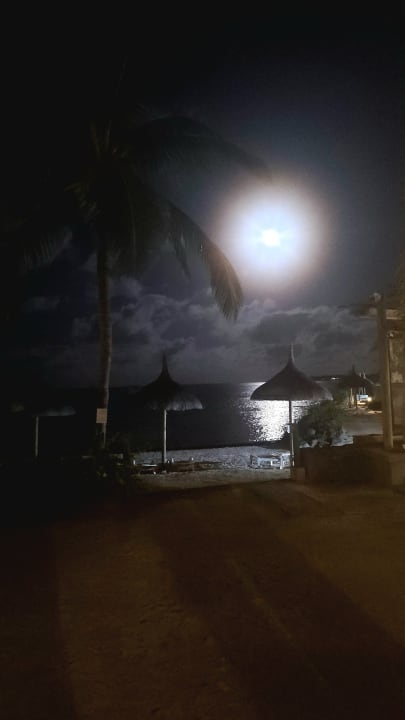 Ausblick Lagoon Attitude - Adults only