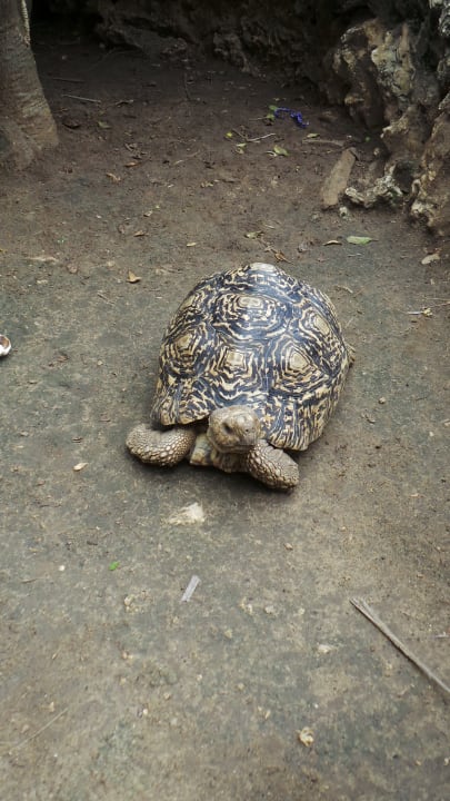 Sonstiges Bahari Beach Hotel