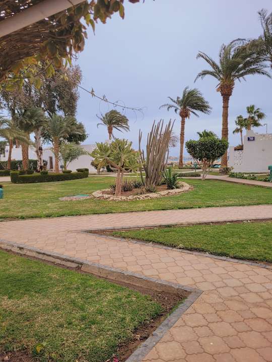 Zimmer Shams Safaga Resort