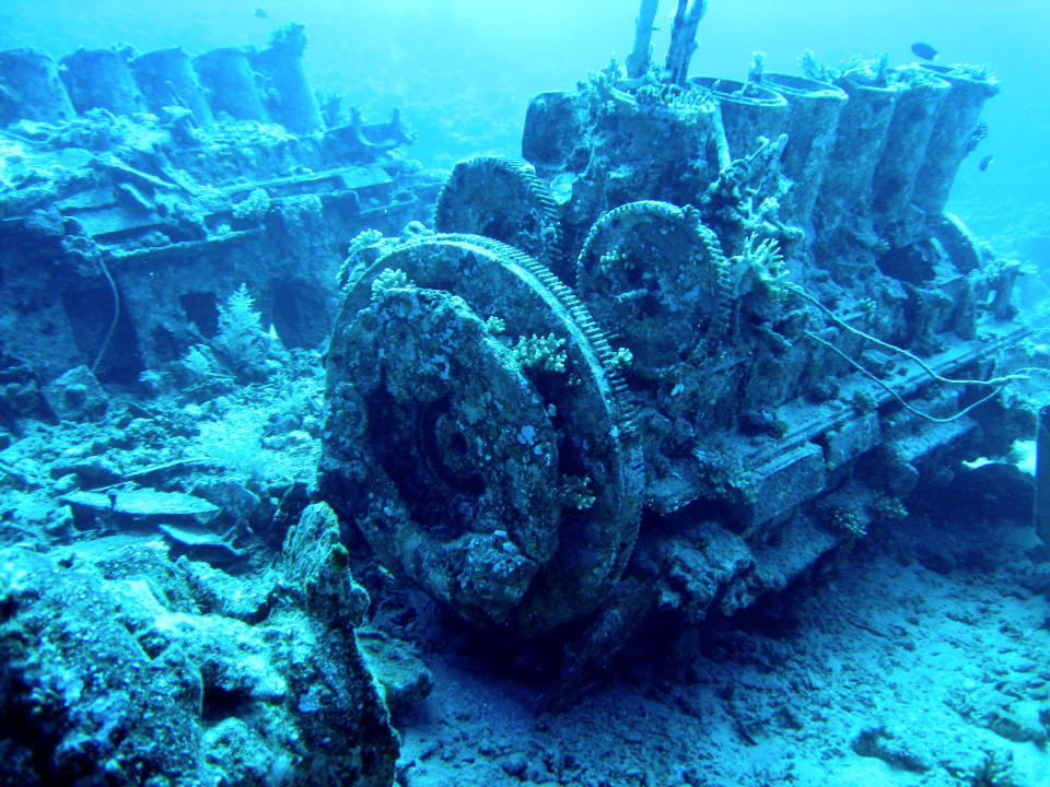 Sport & Freizeit Desert Rose