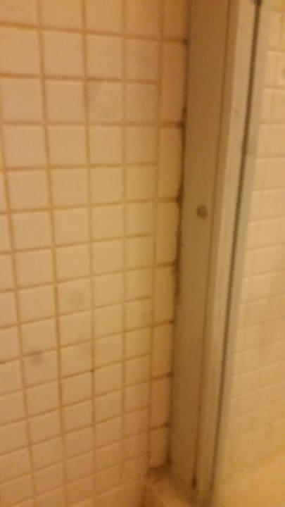 Schimmel TUI BLUE Xanthe