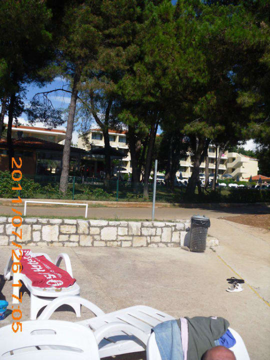 Blick vom Strand zum Hotel Hotel Aurora Plava Laguna