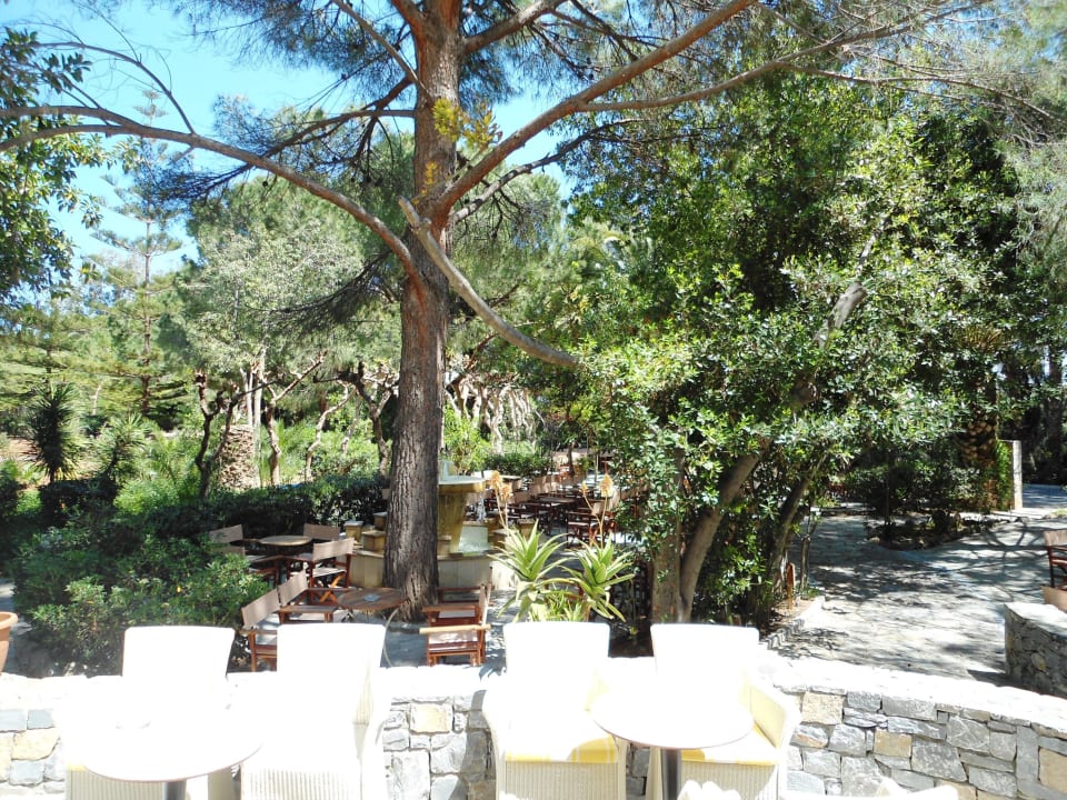 Sitzen im Hotelpark Apollonia Beach Resort & Spa