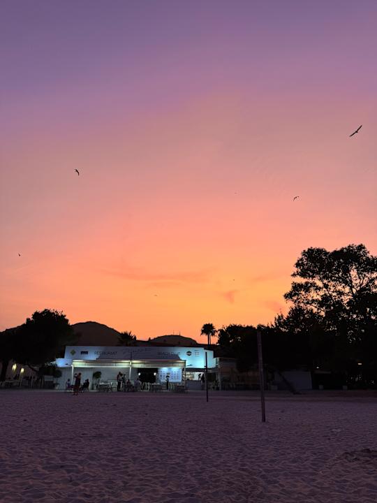 Gastro Alua Boccaccio