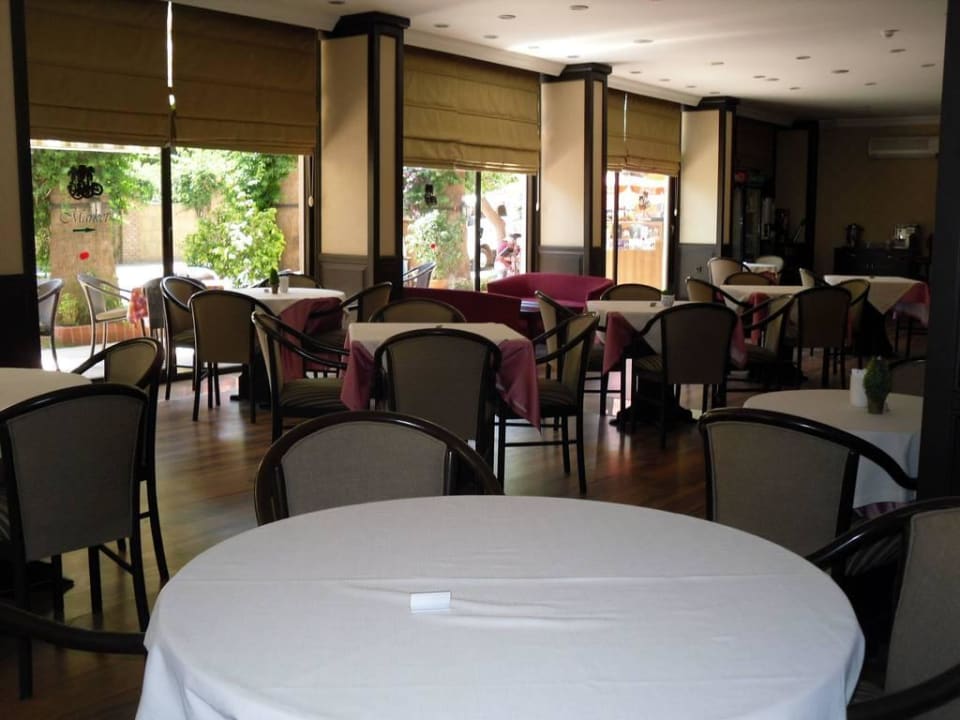 Die Bar am Tage Gardenia Hotel