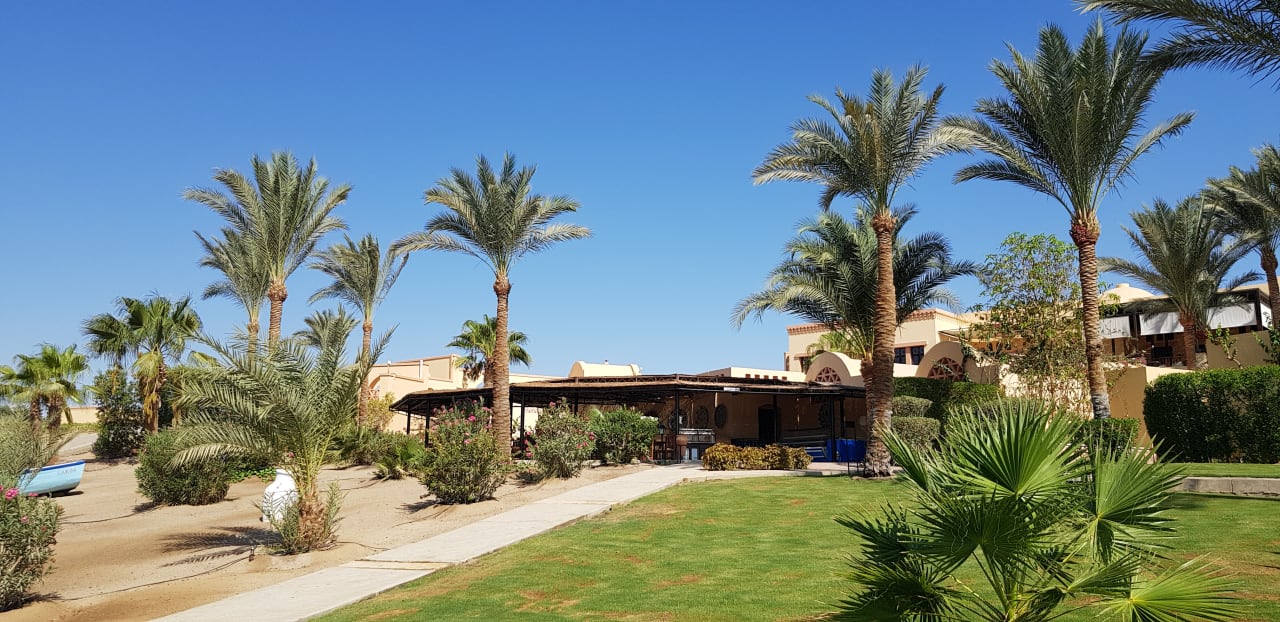 Gartenanlage Steigenberger Coraya Beach - Adults only