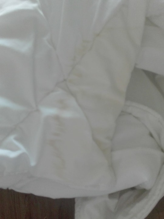 Zimmer Well Palace Side