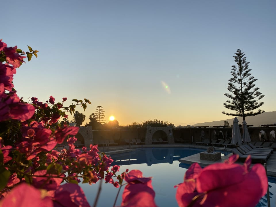 Pool Gaia Garden Hotel