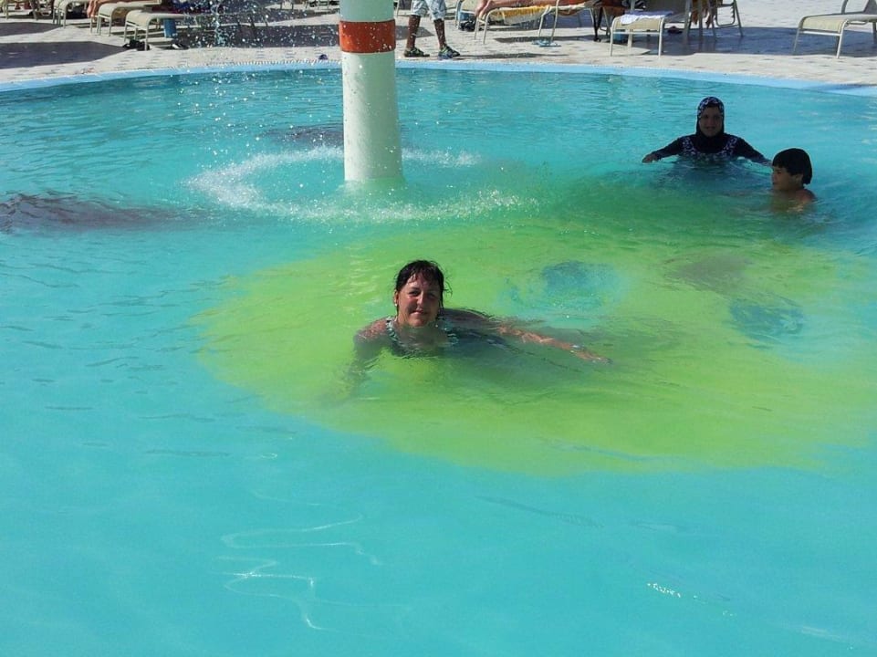 Trübes, schmutziges Poolwasser Blend Club Aqua Resort