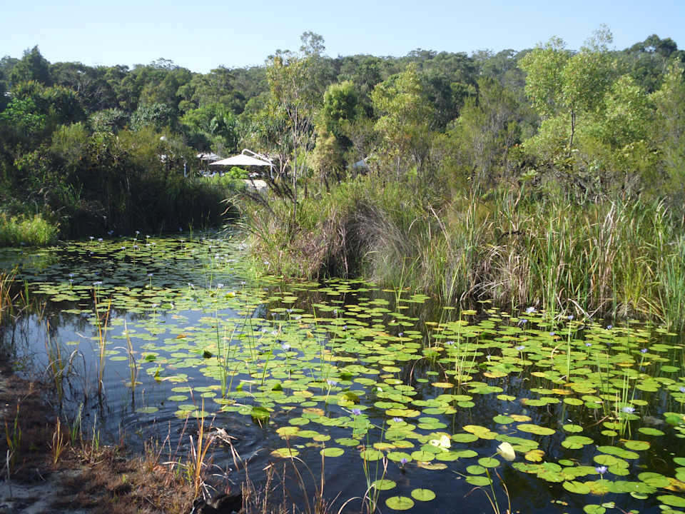 Gartenanlage Mercure Kingfisher Bay Resort Fraser Island