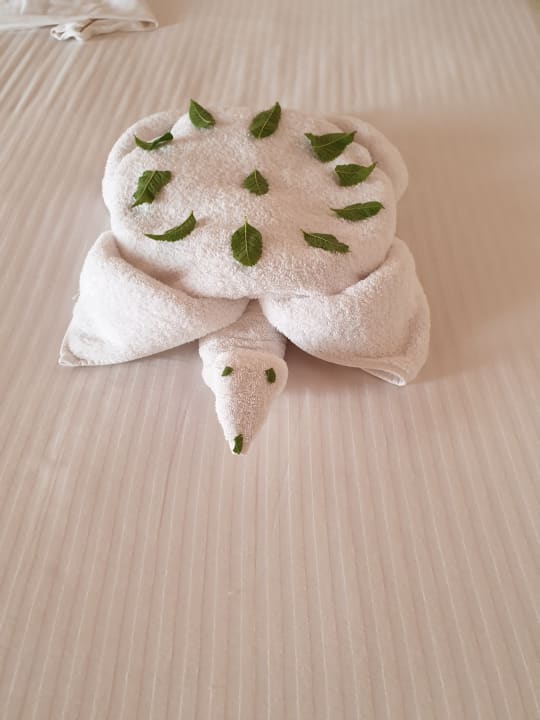 Zimmer Three Corners Sea Beach Resort