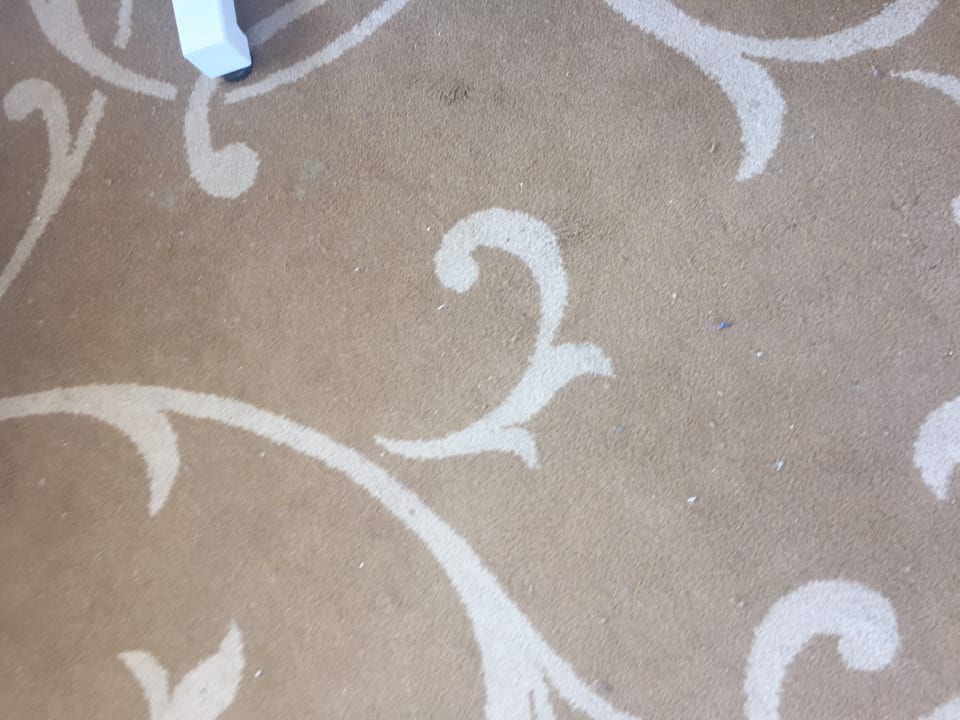 Zimmer Pickalbatros Citadel Resort