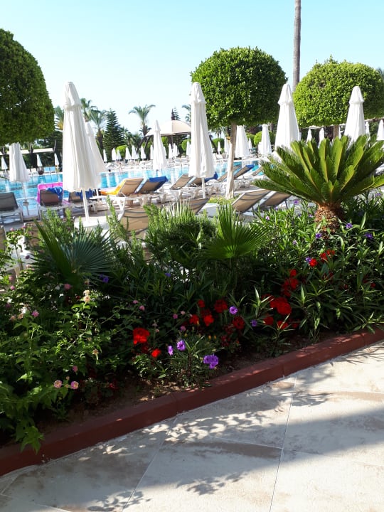 Pool Saphir Resort & Spa