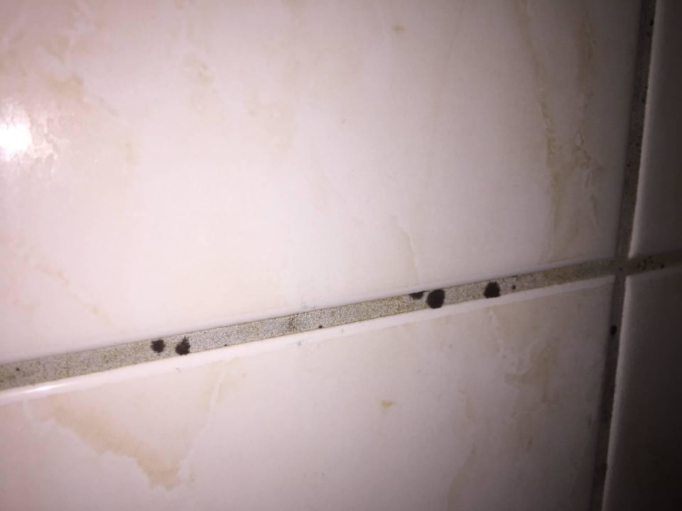 Schimmel Bad 1. OG Ferienhaus Strandhaus XXL Baabe