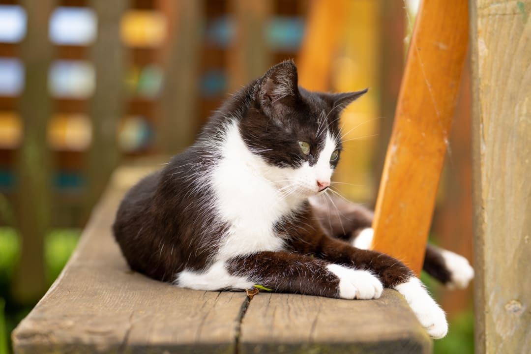 Sonstiges Urlaub am Lacknerhof Familie Klocker