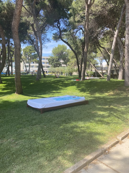 Gartenanlage Park Plaza Arena Pula