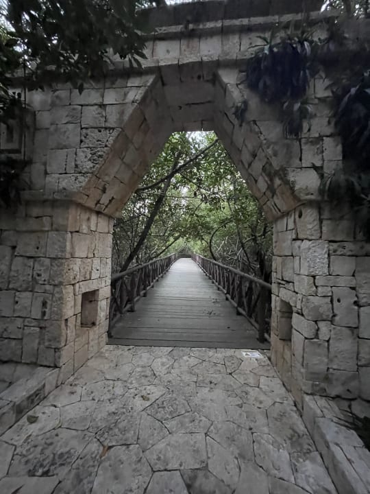 Gartenanlage Catalonia Royal Tulum Beach & Spa Resort - Adults only