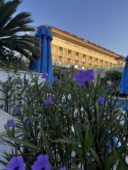 Außenansicht Sentido Trendy Verbena Beach