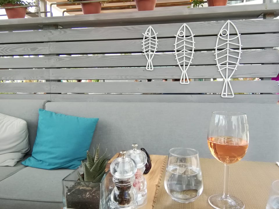 Gastro Acanthus Cennet Barut Collection