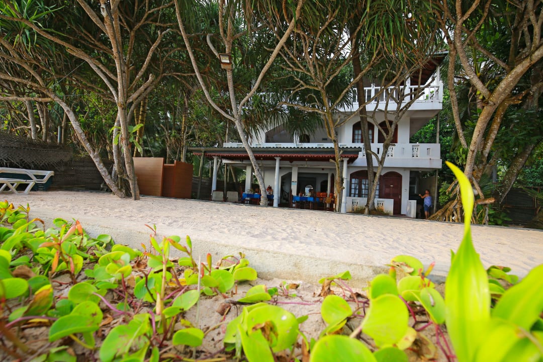Außenansicht Hotel Haus am Meer Wilde Ananas