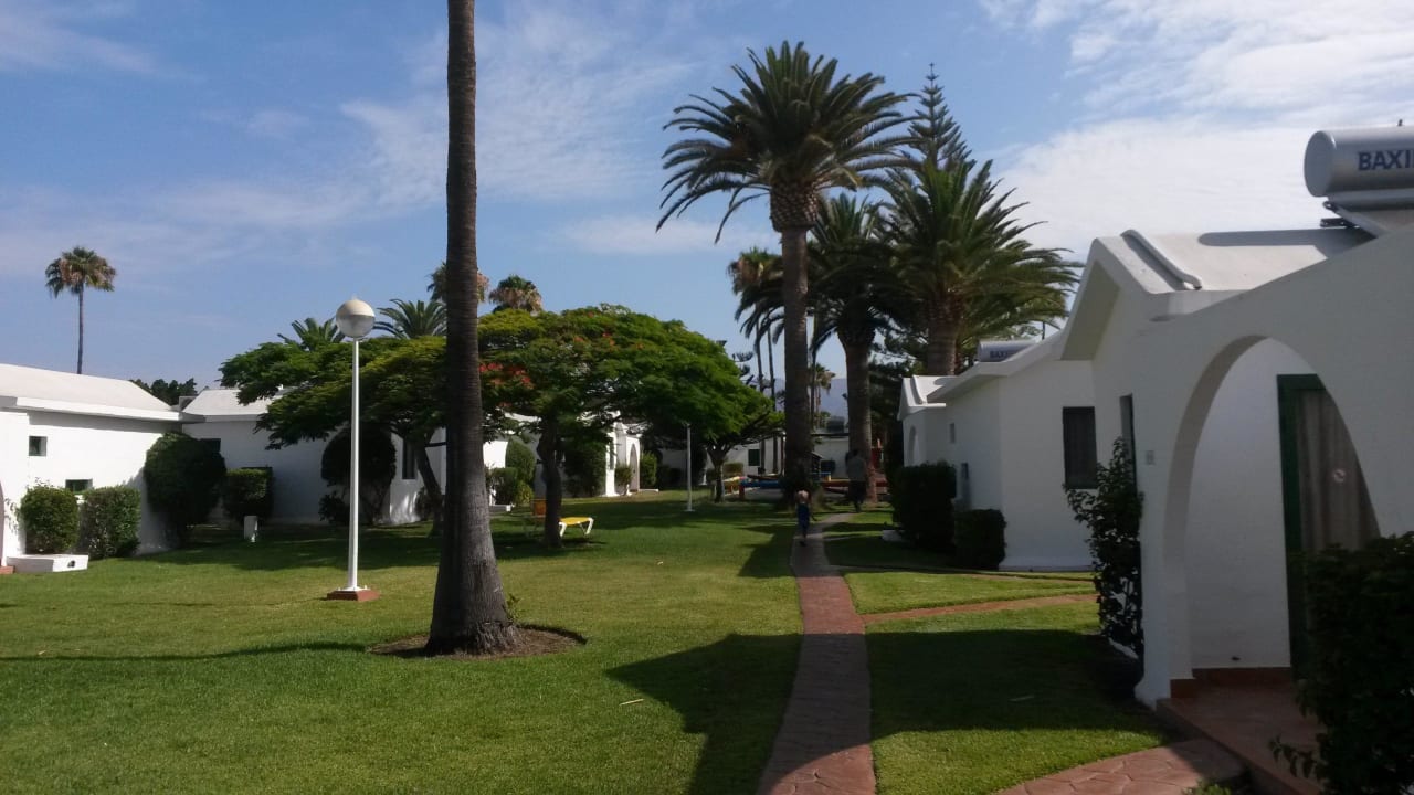 Canary Garden Club Canary Garden Club