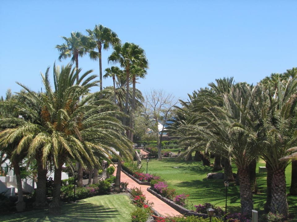 Blick vom Übergang in den Garten Hotel Riu Paraiso Lanzarote