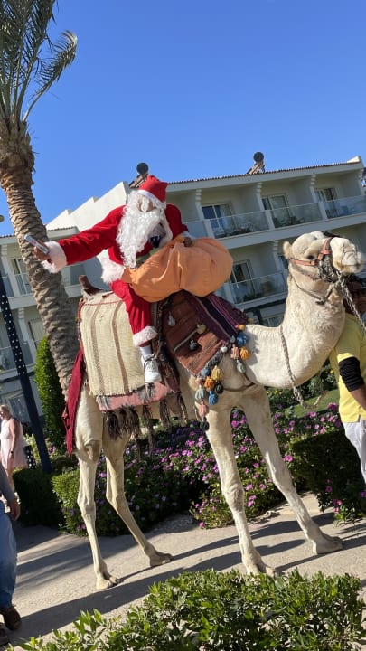 Sonstiges Amarina Abu Soma Resort & Aquapark