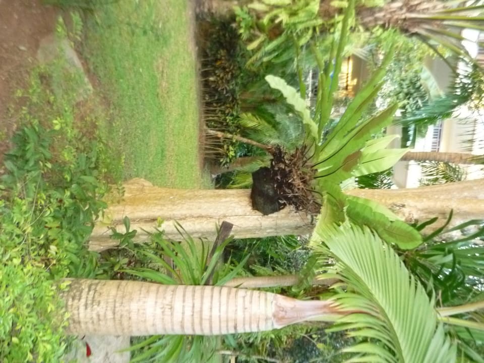 Hotel Krabi La Playa Hotel Krabi La Playa