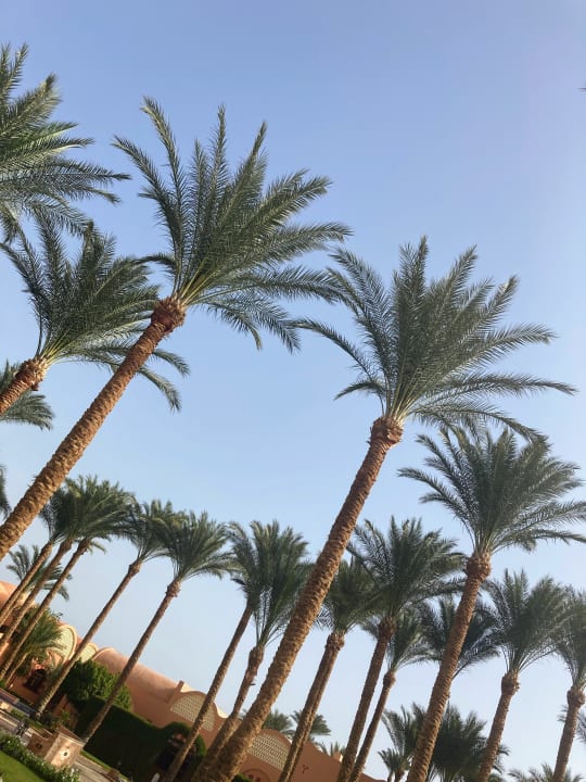 Außenansicht Jaz Makadi Oasis Resort