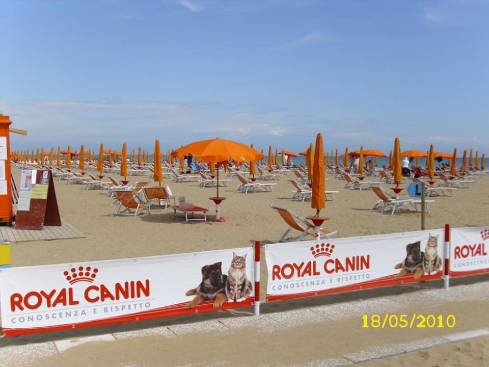 Hundestrand Apartments Atollo