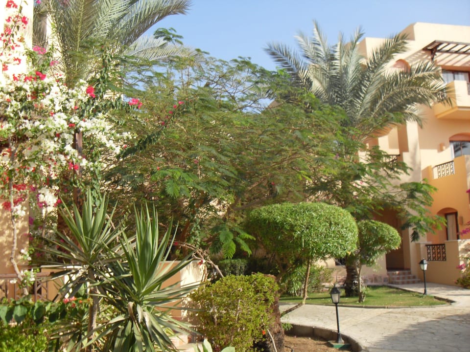 Hôtel Coraya beach Steigenberger Coraya Beach - Adults only