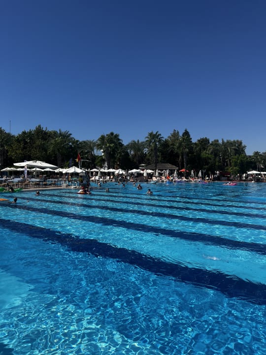 Pool Hotel Delphin Imperial