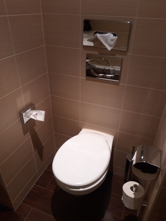 Zimmer Hilton Garden Inn Frankfurt Airport