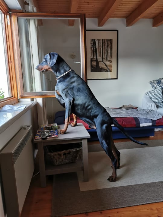 Zimmer Ferienwohnung Wolte