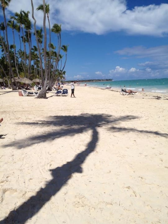 Palmen auf Strand Grand Palladium Select Bávaro Resort & Spa